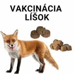 Vakcinácia líšok